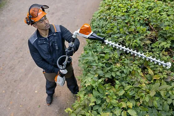 HLA 66 Professional Long-Reach Battery Hedge Trimmer