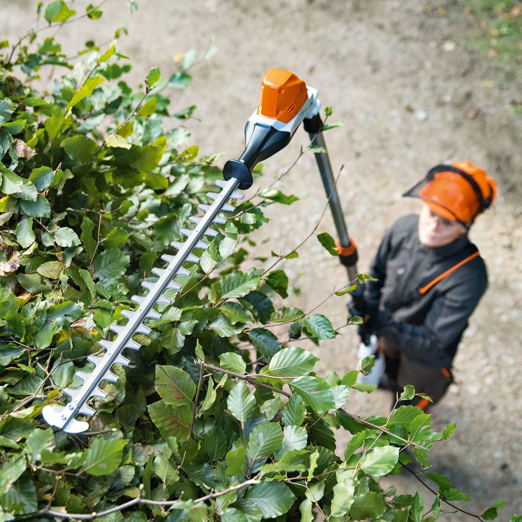HLA 86 Long-reach Cordless Hedge Trimmer