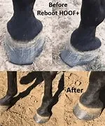 Kohnkes Own Reboot Hoof 